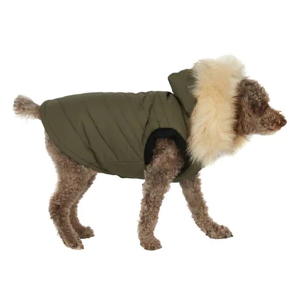 Pajar Pup Toby Hooded Parka